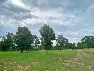 Are you looking for the perfect lake property? Look no further - photo 40