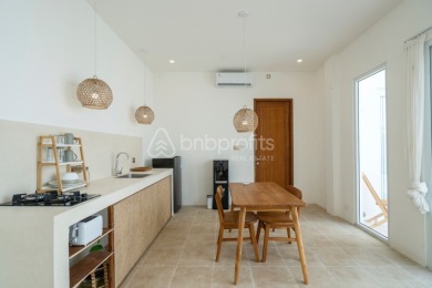 Brand New and Charming 1 BR Villa with Office Space and Rooftop - photo 3