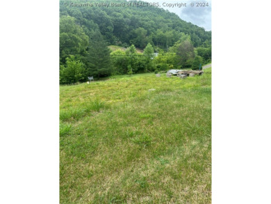 Lake Lot For Sale in Harts, West Virginia