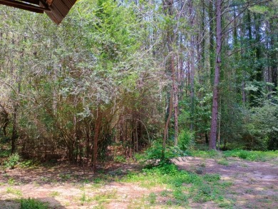 Private Lake Community With Enchanting Acreage Retreat - photo 25