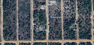 (private lake, pond, creek) Lot For Sale in Interlachen Florida