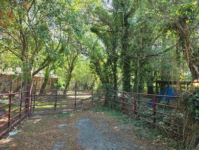 Waterfront home, once part of Governor Wise Plantation, our - photo 6