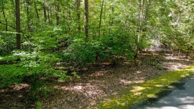 Lake Lot For Sale in Clarksville, Virginia