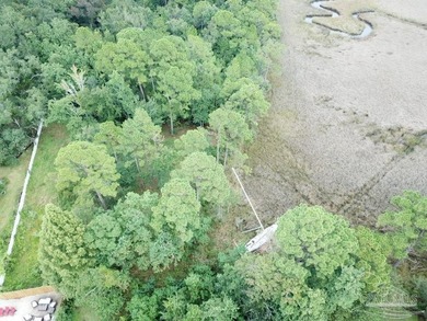 Water Front Lot with Beautiful Views in Mills Bayou off Avalon - photo 5