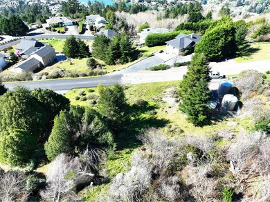 Perched high in one of Brookings' most sought after upscale - photo 12