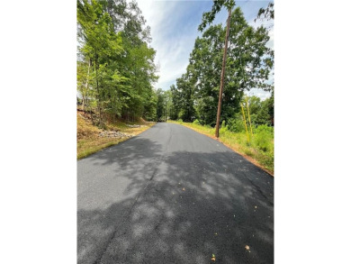LOT IS LOCATED RIGHT AROUND THE CORNER FROM CHUCKS MARINA SO - photo 4