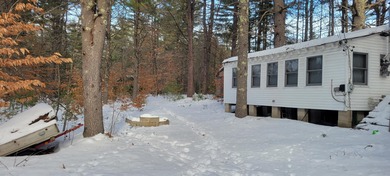 Ossipee Lake  Home For Sale in Freedom New Hampshire