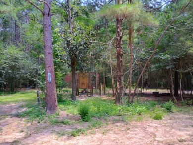 Private Lake Community With Enchanting Acreage Retreat - photo 20