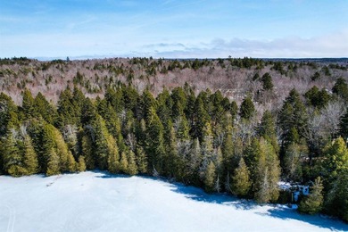 Not only does this property offer a serene spot to build your - photo 11