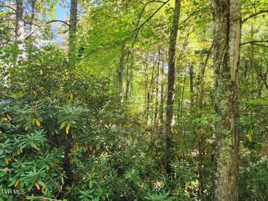 Watauga Lake Lot For Sale in Mountain City Tennessee