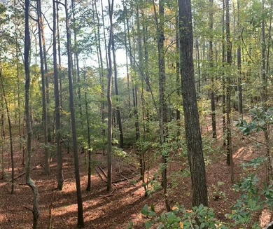Surrounded by a border of tall standing timber, this - photo 2