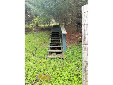 Investor Special on Beautiful Secluded Acreage! Opportunity - photo 14