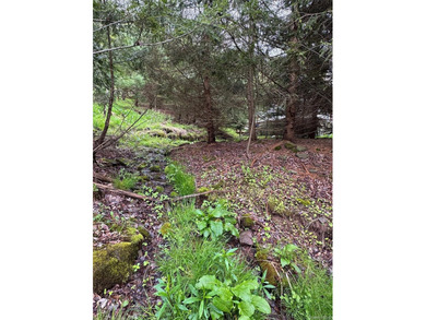 Investor Special on Beautiful Secluded Acreage! Opportunity - photo 16