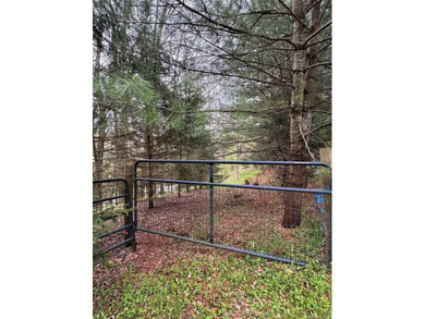 Investor Special on Beautiful Secluded Acreage! Opportunity - photo 17