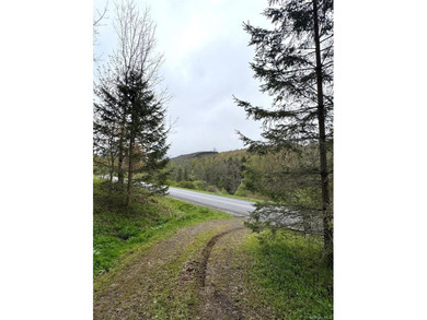Investor Special on Beautiful Secluded Acreage! Opportunity - photo 18