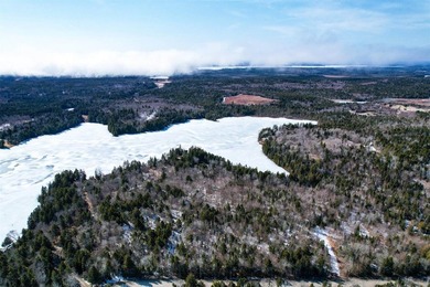Not only does this property offer a serene spot to build your - photo 18