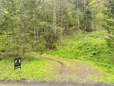 Investor Special on Beautiful Secluded Acreage! Opportunity - photo 19