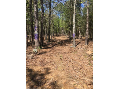 Lake Commercial For Sale in Blue Mountain, Arkansas