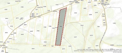Lake Acreage For Sale in Alton, Virginia