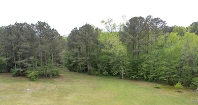 Enjoy a tranquil, private setting on this 0.92-acre lot - photo 2