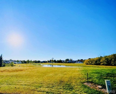Horseshoe Lake Lot For Sale in Granite City Illinois