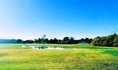 Build your dream Home in Emerald Meadows! Discover one of the - photo 2