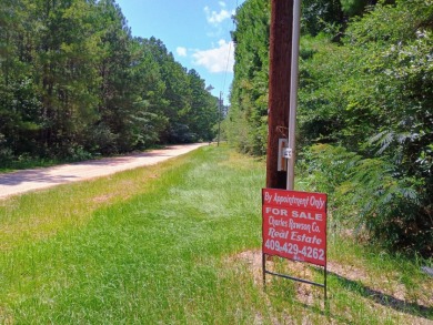 Private Lake Community With Enchanting Acreage Retreat - photo 29