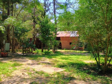 Private Lake Community With Enchanting Acreage Retreat - photo 26