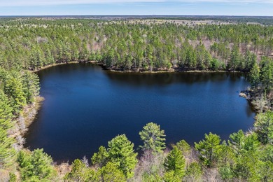 Ultimate privacy on 80 wooded acres with your own private - photo 13