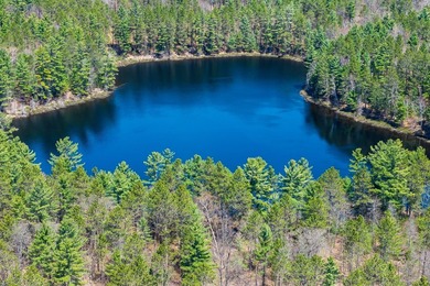 Ultimate privacy on 80 wooded acres with your own private - photo 14