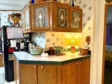 Welcome to Your Island Getaway! This charming 3-bedroom, 2-bath - photo 4