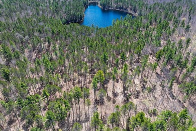 Ultimate privacy on 80 wooded acres with your own private - photo 15