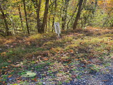 Cherokee Lake View Building Lot For Sale - Lake Lot For Sale in Whitesburg, Tennessee