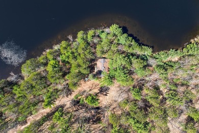 Ultimate privacy on 80 wooded acres with your own private - photo 16