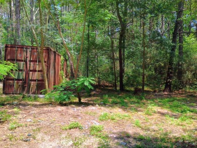 Private Lake Community With Enchanting Acreage Retreat - photo 17