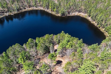Ultimate privacy on 80 wooded acres with your own private - photo 30