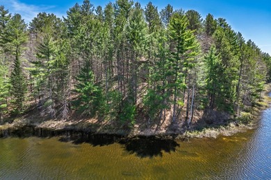 Ultimate privacy on 80 wooded acres with your own private - photo 32