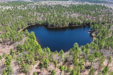 Ultimate privacy on 80 wooded acres with your own private - photo 33