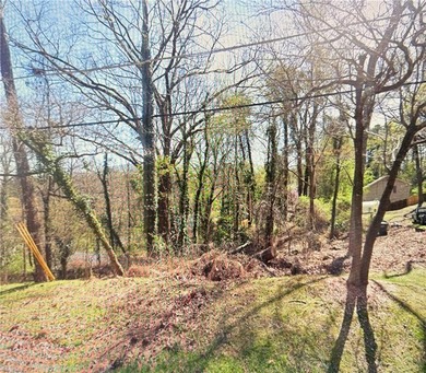 Lake Lot For Sale in Cumming, Georgia