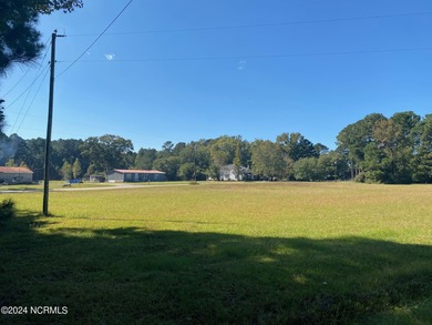 Opportunity Awaits!!! Build your dream home with NO HOA in most - photo 4