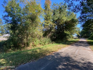 Opportunity Awaits!!! Build your dream home with NO HOA in most - photo 6