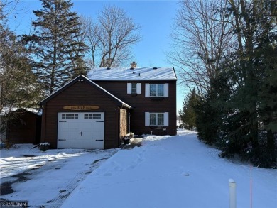 Lake Home For Sale in South Haven, Minnesota