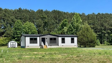 Introducing the brand-new 2026 *Black Diamond* model mobile home - photo 1