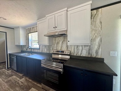 Introducing the brand-new 2026 *Black Diamond* model mobile home - photo 8