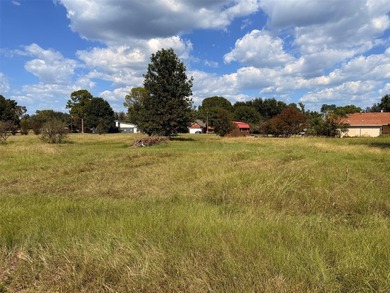 Excellent opportunity to own a 0.24-acre level lot located on a - photo 4