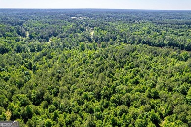 Rare opportunity to purchase 285.44 acres in Rockdale County - photo 11