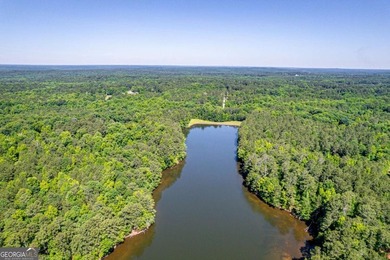 Rare opportunity to purchase 285.44 acres in Rockdale County - photo 12
