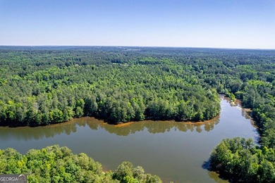 Rare opportunity to purchase 285.44 acres in Rockdale County - photo 13