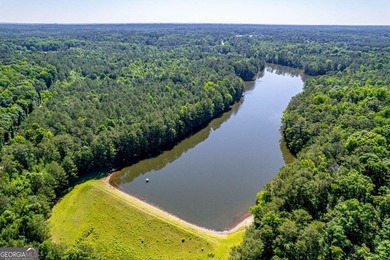 Rare opportunity to purchase 285.44 acres in Rockdale County - photo 18