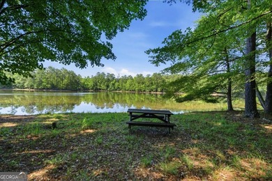 Rare opportunity to purchase 285.44 acres in Rockdale County - photo 20